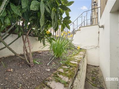 Picture 26